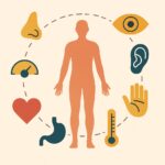 Five Senses? Nah, Your Body’s a Sensory Superhero with a PhD in Multitasking